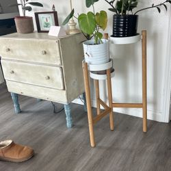 Plant Stand