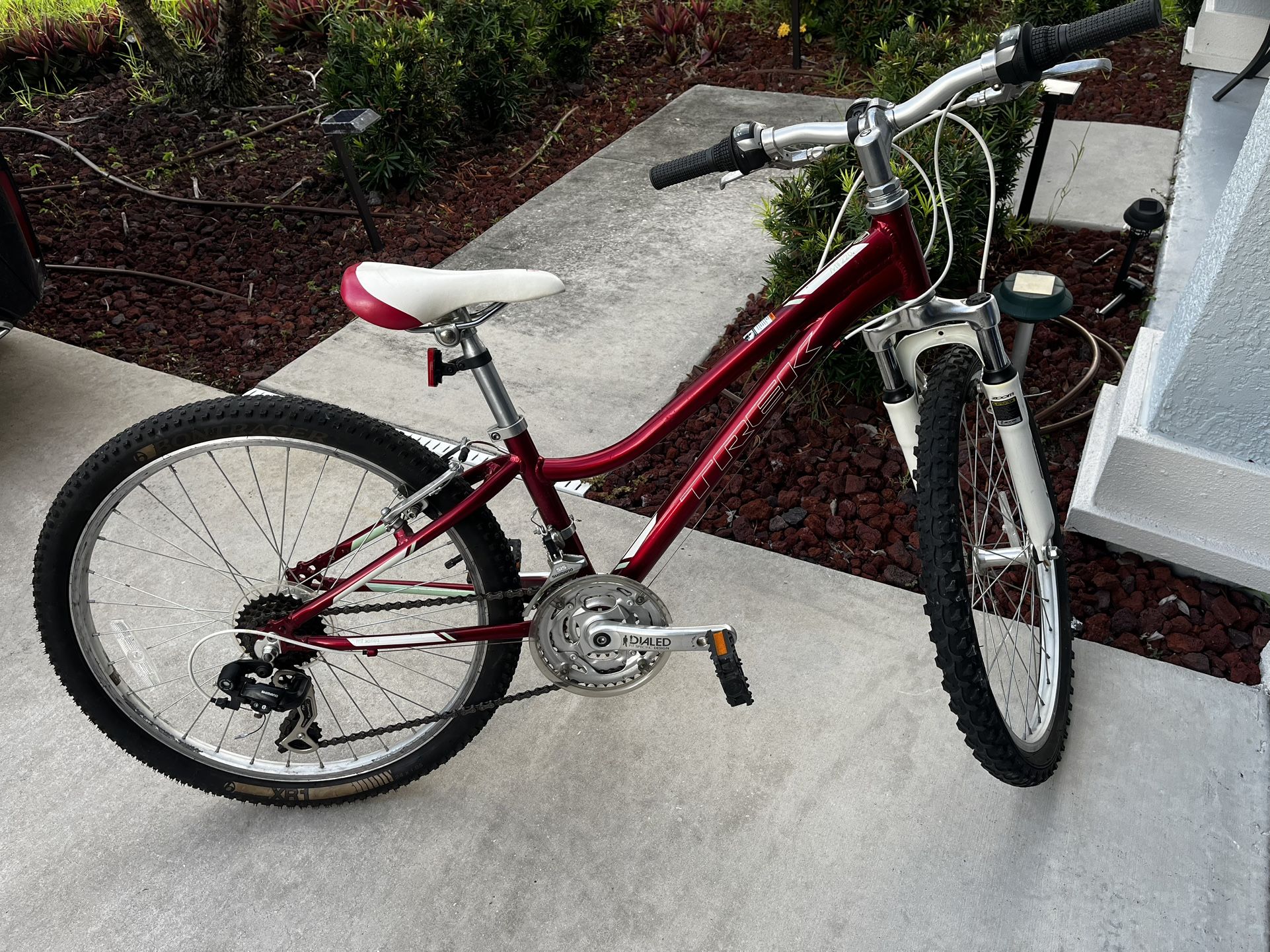 Mountain Bicycle