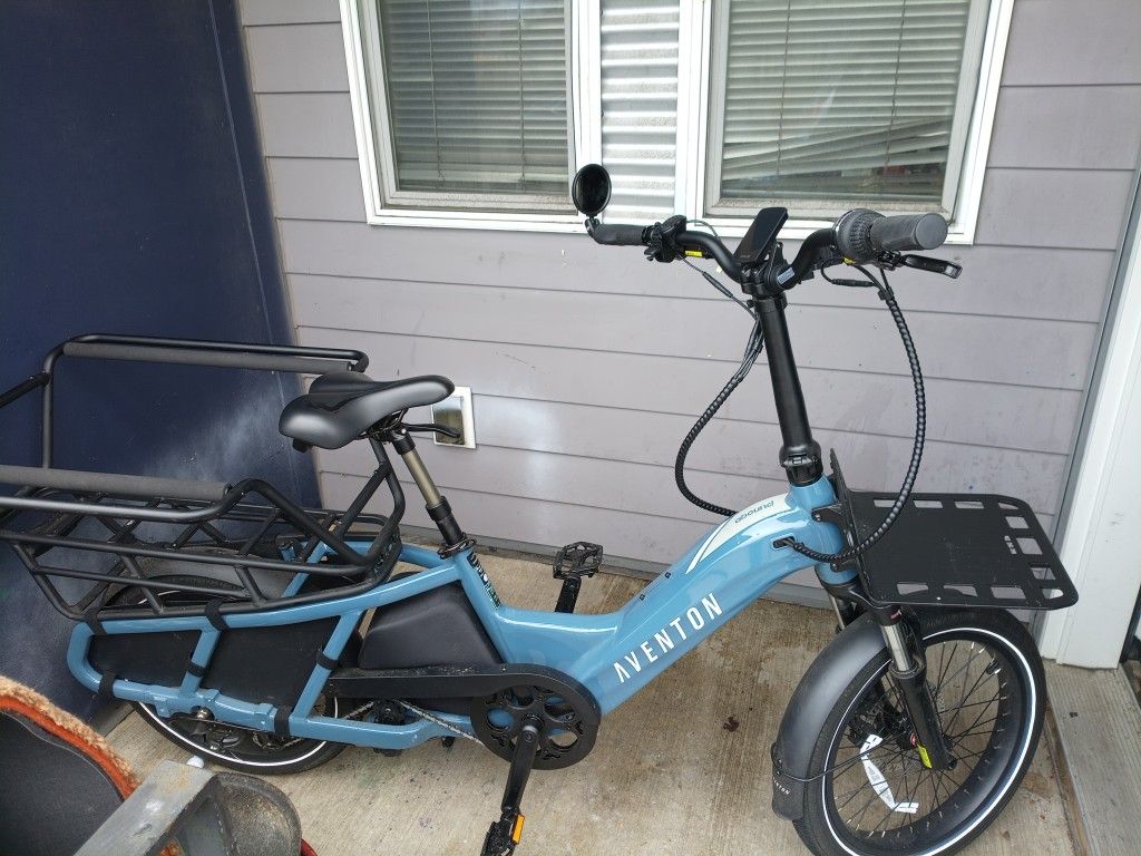 Electric Bike I'm Posting For My Bestie