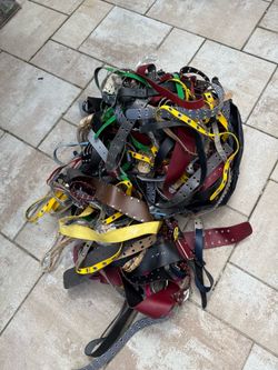Assorted Women’s Belt
