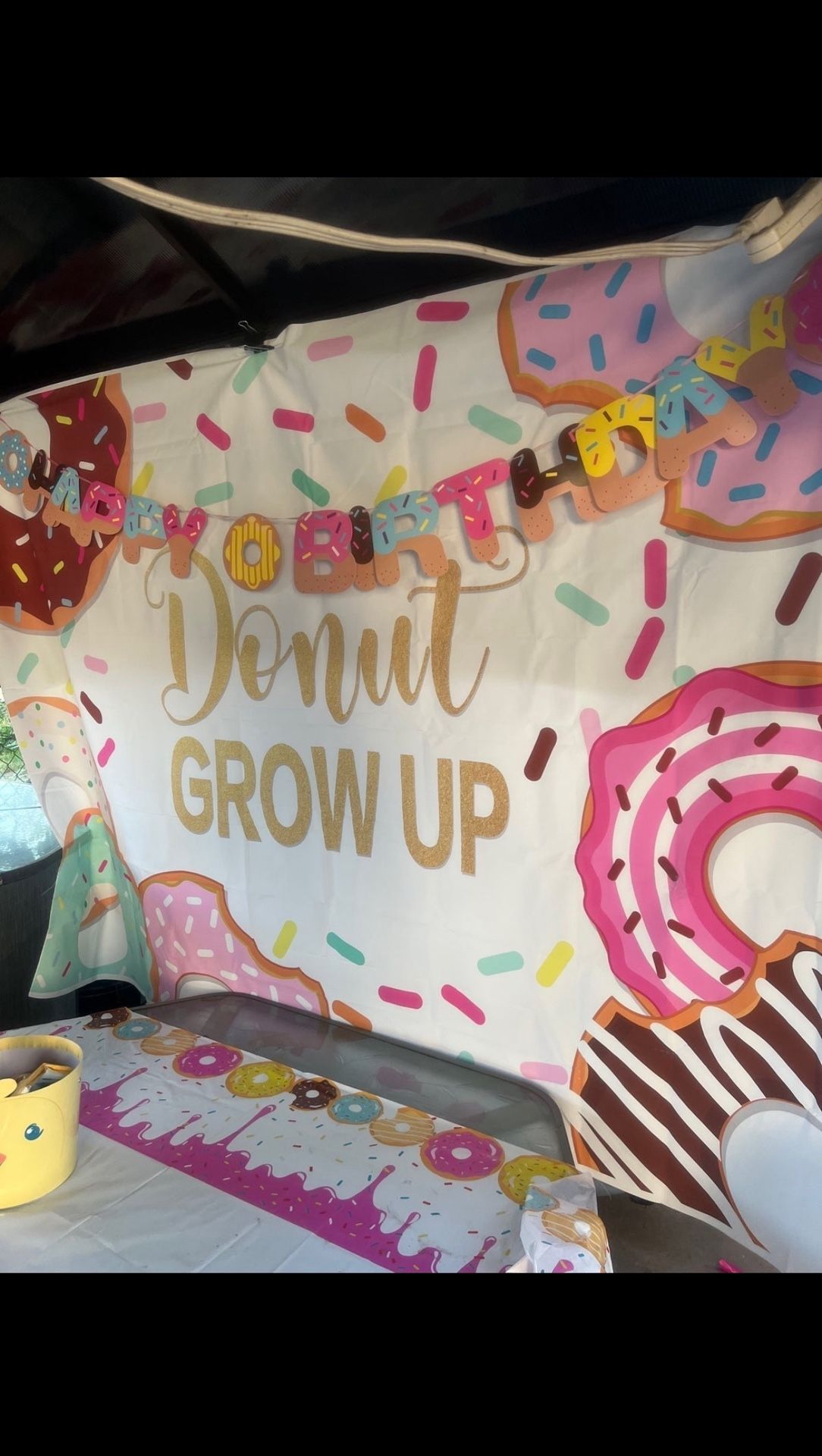 Donut Grow Up Backdrop
