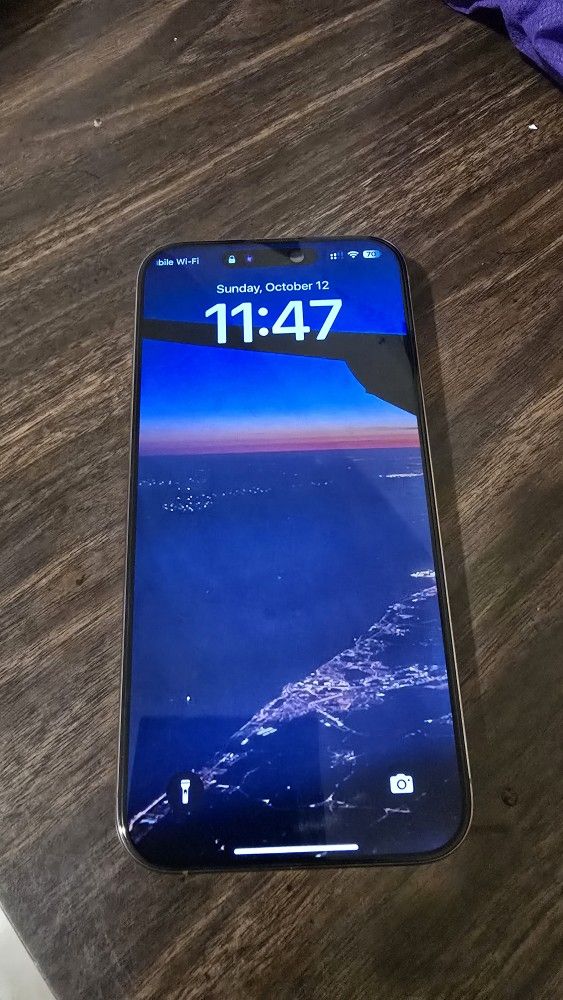 iPhone 16 Pro Max 256 GB Unlocked 