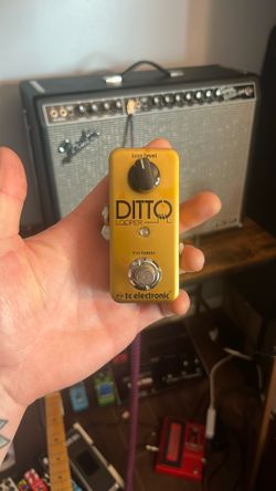Limited edition Ditto Looper