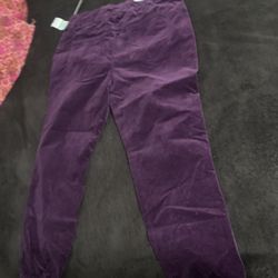 New with tags purple cordoroy joggers from Macys
