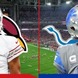 Cardinals vs Lions