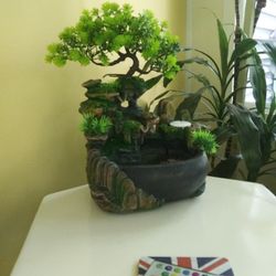 Bonsai Electric Fountain with dry Ice feature.