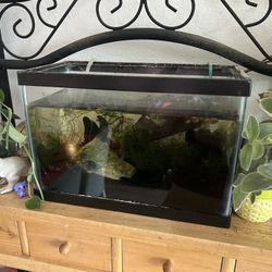 Cycling Tank