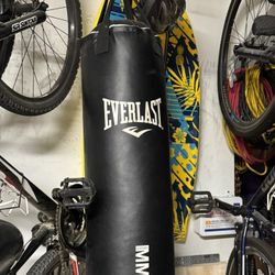 Punching Bag 60lb