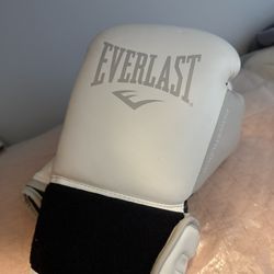 Everlast Powerlock Boxing Gloves