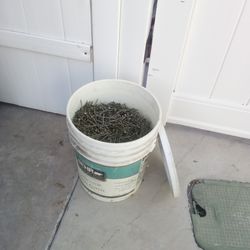 Bucket of sinkers nails