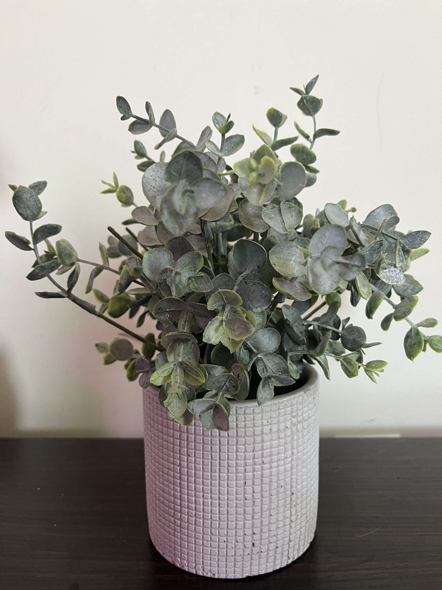 Fake Plant