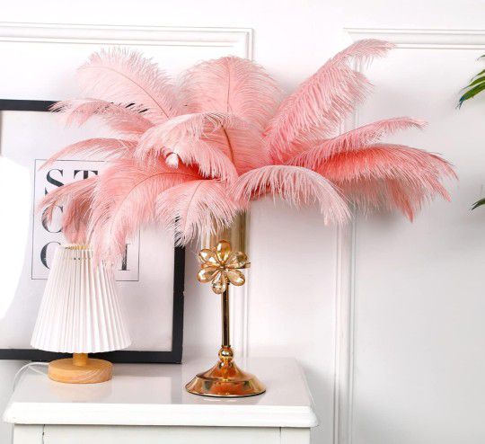 Ostrich Feathers/Decor