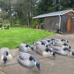 Goose Decoys 