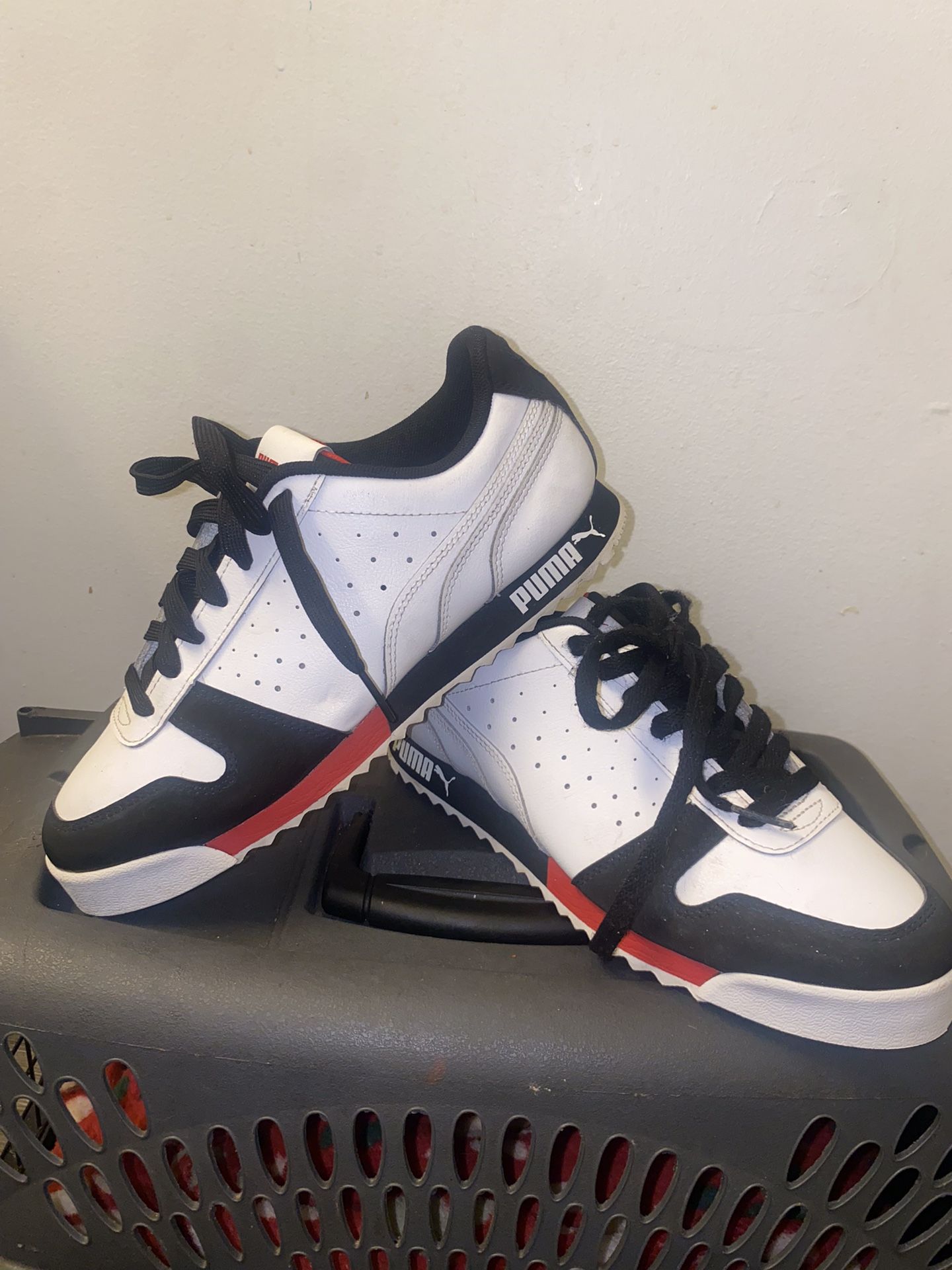 pumas