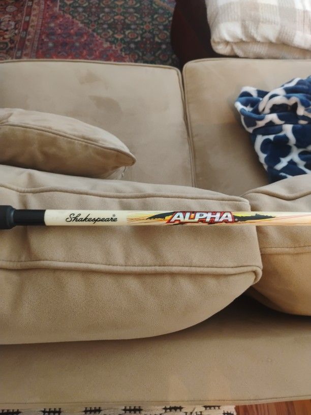 Spinning Rod