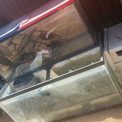 Fish Tanks & Accessories 
