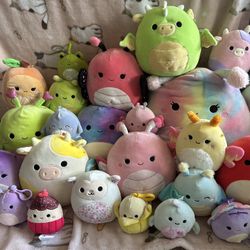 Squishmallow Lot