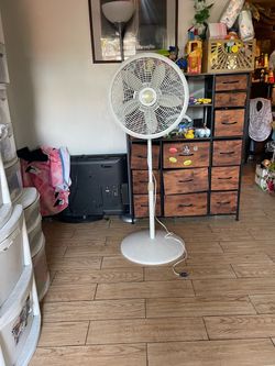 Fan