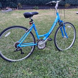 Adult bike