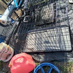 Large Dog Crate In Like New Cond 