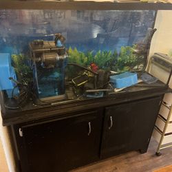 Fish Tank 65 Gallon 