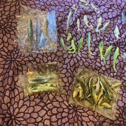 Banjo Minnows Sinkers and bobbers
