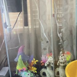 35 Gallon Fish tank
