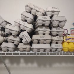 Egg Cartons 