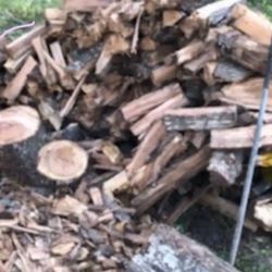 Firewood 