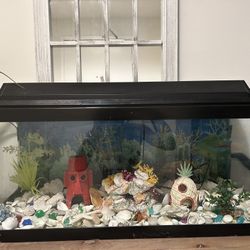 Fish Tank And Accessories 