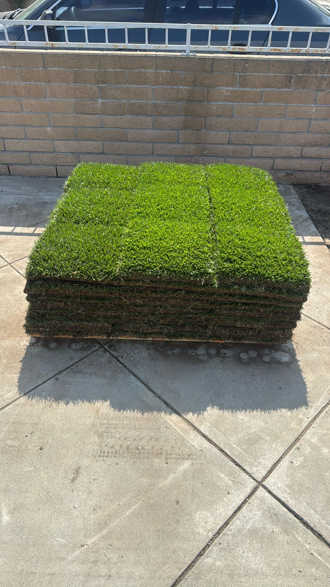 Marathon II Sod 240 Square Feet