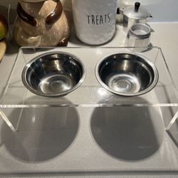 Stainless Steel Dog Bowls With Acrylic Stan