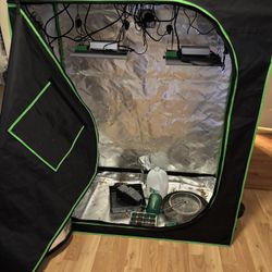 Grow Tent And Lights 4x2x4