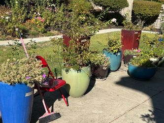 LARGE PLANT, PLANTER & PATIO SALE — SATURDAY 9 AM–2 PM