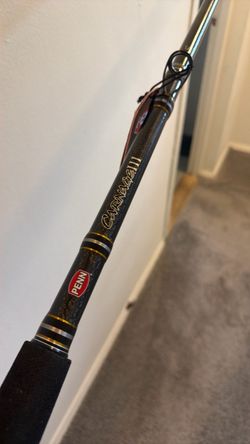 PENN Carnage III 40-80lbs 8 foot