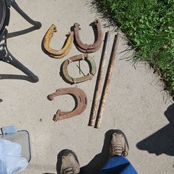 Horseshoe Set