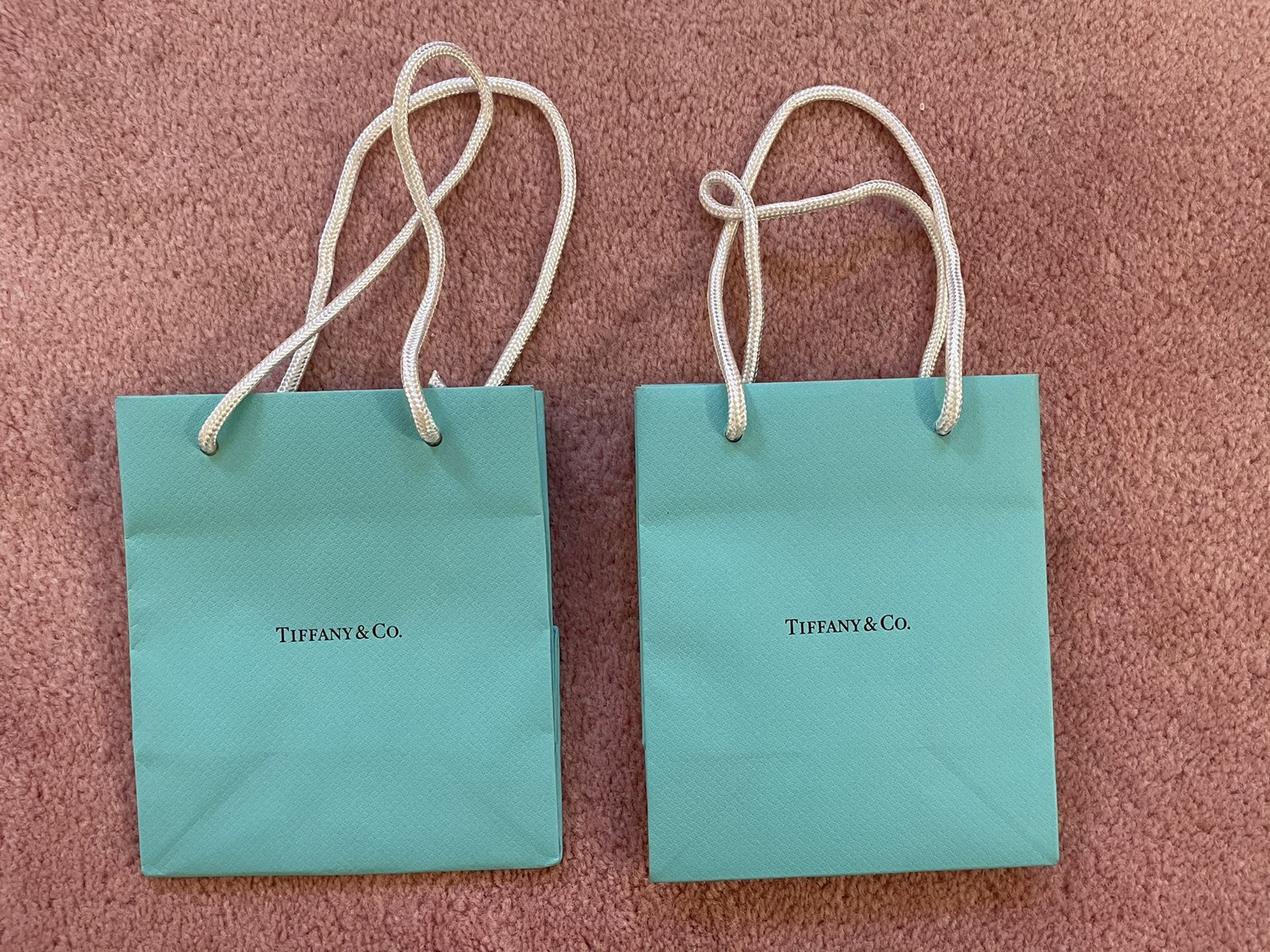 Small Tiffany & Co. gift bag in good condition
