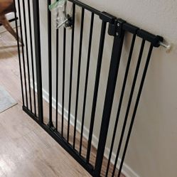 Dog Gate 