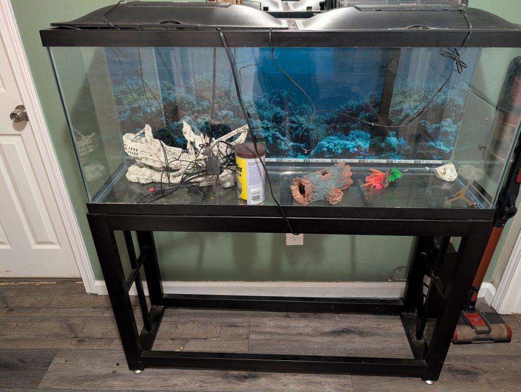 Big Fish Tank With Filter, Lights, Temp Reader And Stand