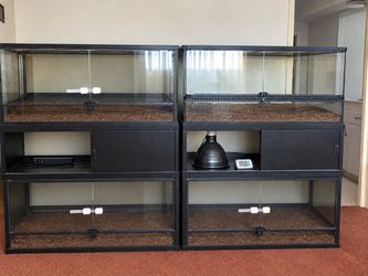 Reptile tank