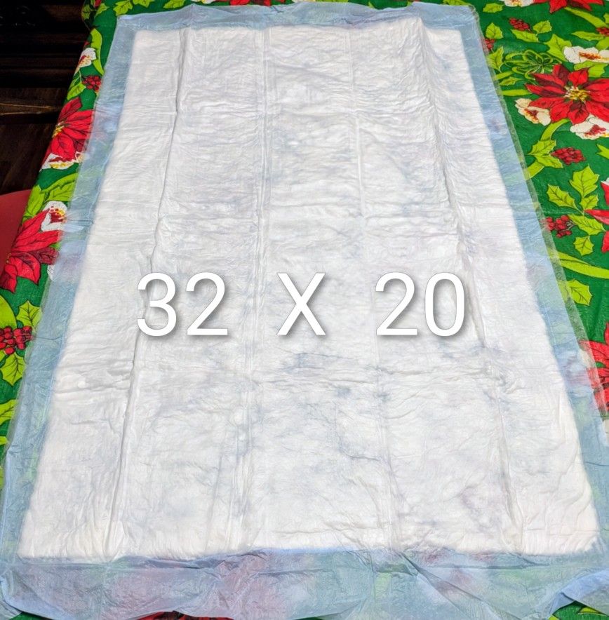 ABSORBENT  PADS  ( 5 PACKS, 5  PER PACK )