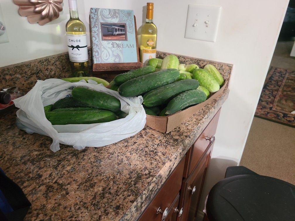 Pickling Cucumbers And Regular Cucumber S Also Green Peppers