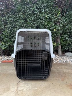 Large Hard-Sided Pet Travel Crate QTY: 2