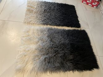 2 Same Rugs (1  New , 1 More Used ) 