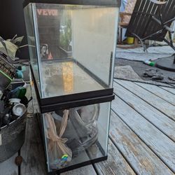 Two 10 Gallon Fish Tanks