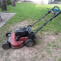Toro