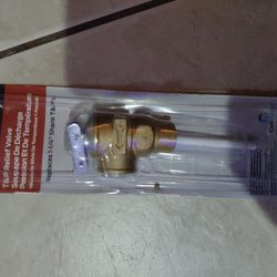 Cash Acme T&P Relief Valve 