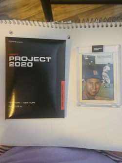 Ted Williams*Project 2020*
