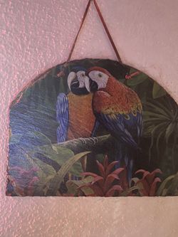 2 Matching Parrot Wall Plaques