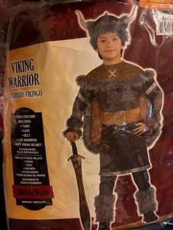 Viking warrior